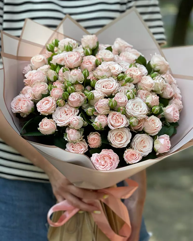 25 кустовых бомбастиков 10200₽ blank