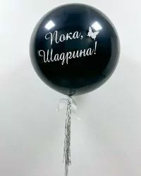 IMG-20250416-WA0017